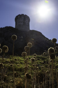 Genuesischer Wachturm Korsika